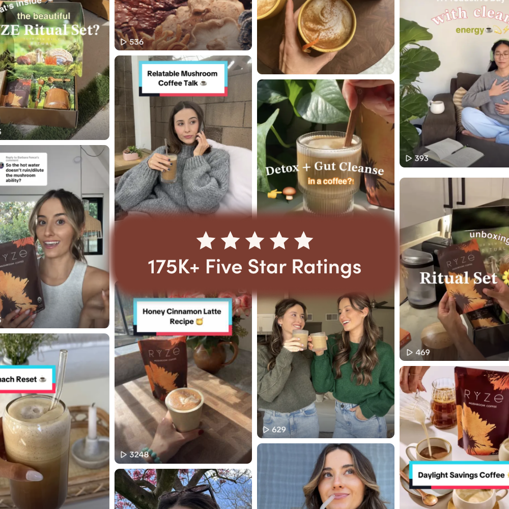 Mushroom Coffee Dark Roast (30 Servings)