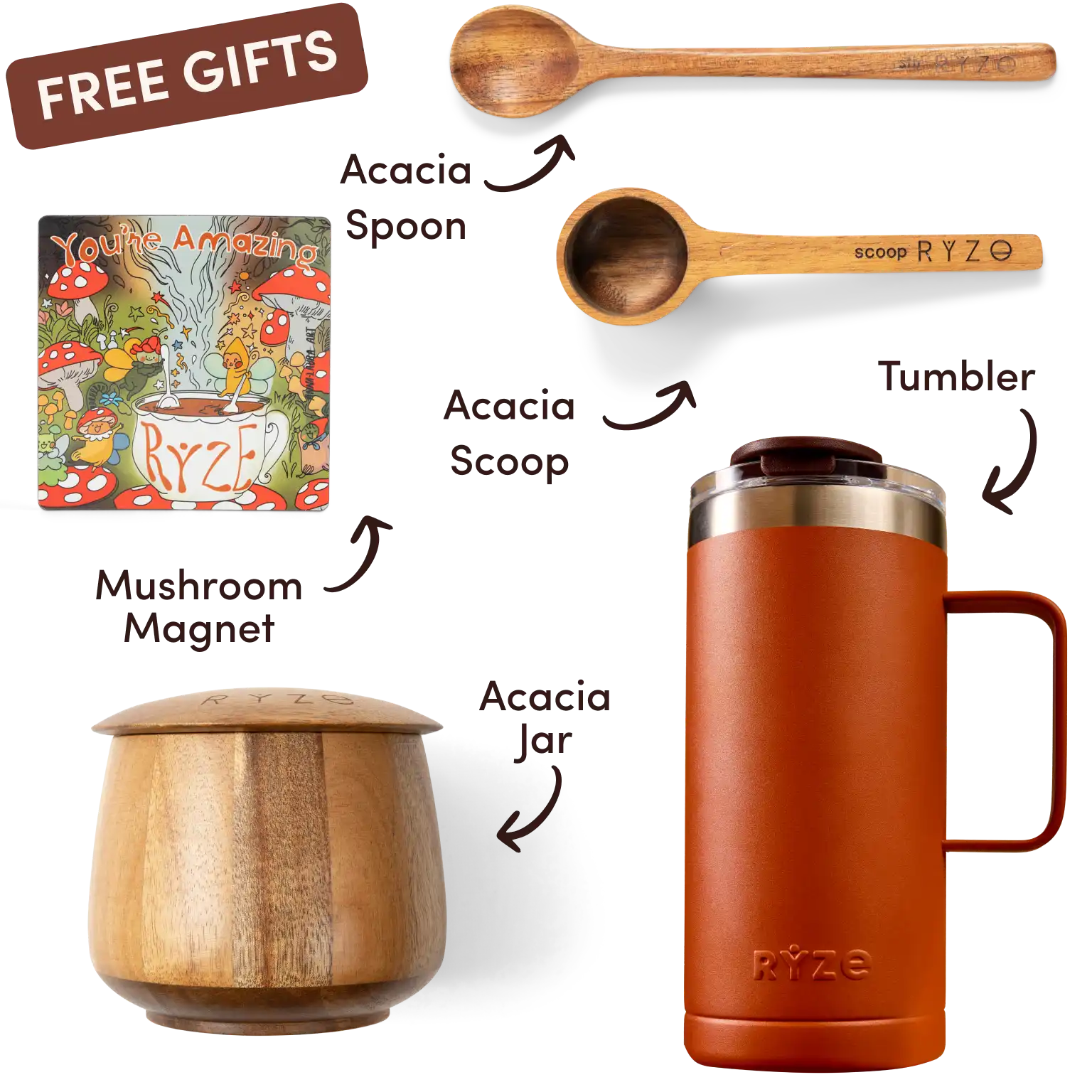 Ryze superfood creamer, acacia spoon, scoop, jar, mushroom magnet, and recipe booklet with 'Free Gifts' label.