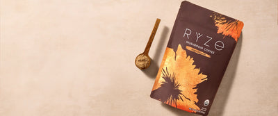 How Long Does it Take for Reishi Mushroom to Work?