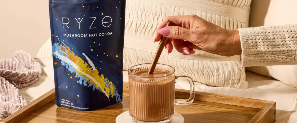 Best Mushroom Hot Chocolate for Sleep