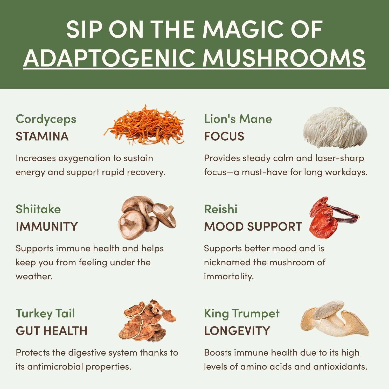 RYZE Ritual Set (Matcha + Coffee)