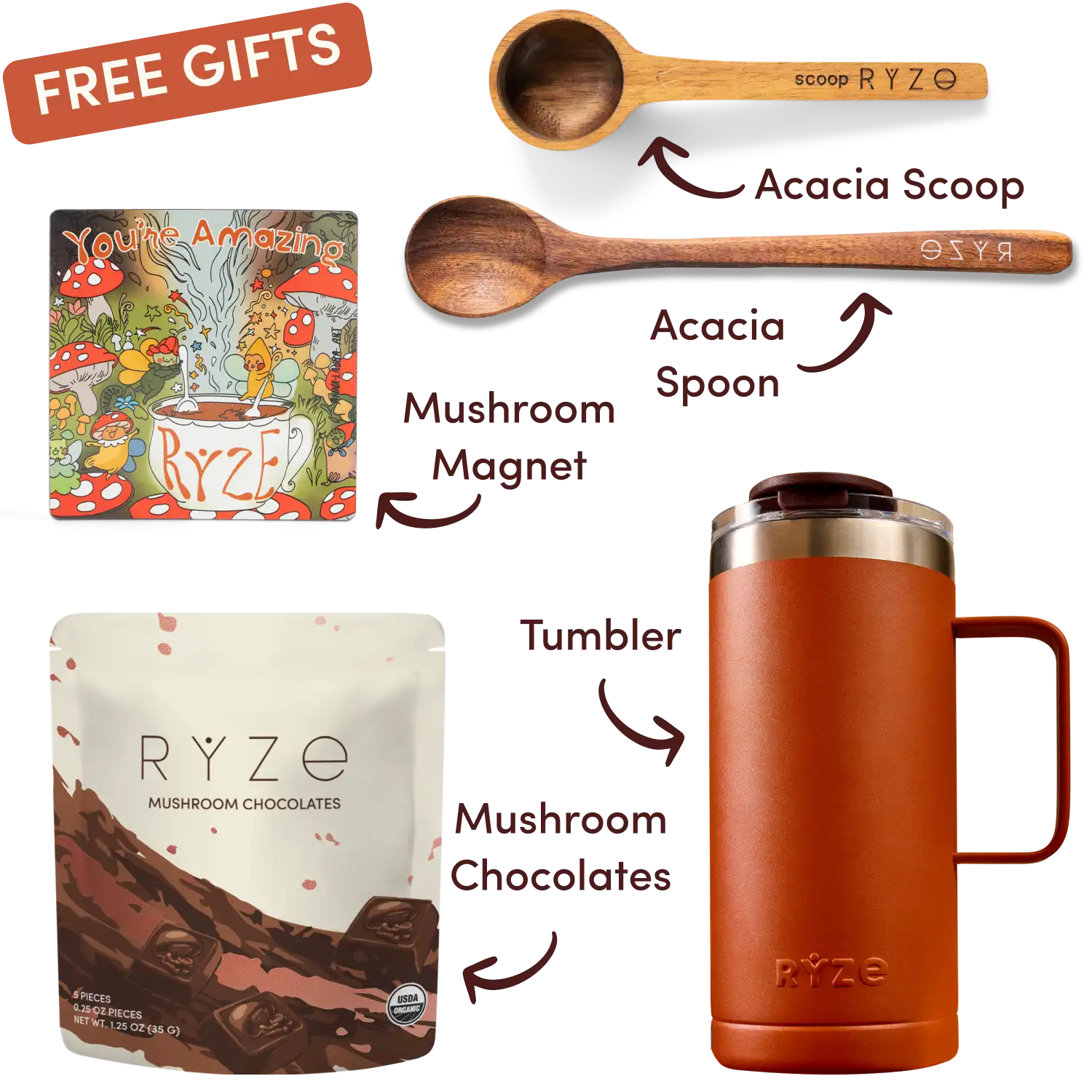 Mushroom Coffee Dark Roast Starter Kit (60 servings)