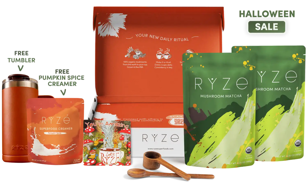 English.halloween.sale.sale.sale.website.mushroom-matcha-starter-60-servings_compressed.webp