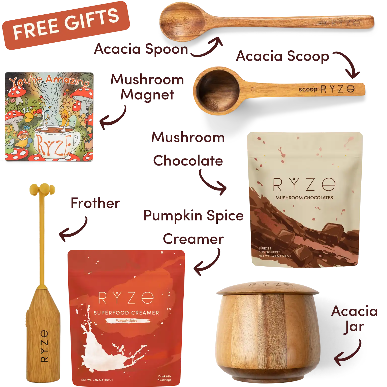 Ryze superfood creamer, acacia spoon, scoop, jar, mushroom magnet, and recipe booklet with 'Free Gifts' label.